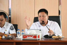 11 Jabatan Kepala OPD Banyuasin Masih Kosong, Sekda Ambil Alih Tiga Dinas