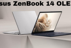 Zenbook 14 OLED UM3406GA: Laptop AI Premium untuk Profesional Muda 2026
