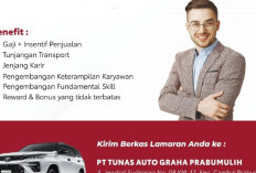 Lowongan Kerja Terbaru di Prabumulih, Toyota TAG Buka Posisi Sales Executive