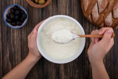 4 Makanan Fermentasi yang Baik untuk Mendukung Kesehatan Otak