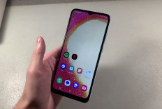 5 HP Samsung Murah 2026, Harga 1 Jutaan Tapi Spek Nggak Murahan!