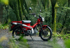 Kelebihan dan Kekurangan Honda CT125 Hunter Cub, Motor Petualang yang Memiliki Karakter Kuat