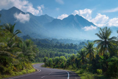 Jangan Asal Berangkat! Ini 5 Tips Aman Melintasi Jalan Lintas Sumatera