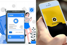 Daftar Aplikasi yang Diklaim Bisa Menghasilkan Saldo DANA