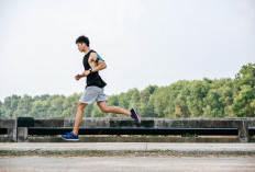 Jangan Asal Beli! Ini 6 Tips Memilih Sepatu Lari untuk Pemula