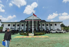 Kejari Prabumulih Lelang 8 Kendaraan Rampasan Negara, Warga Berpeluang Dapat Motor dan Mobil Murah