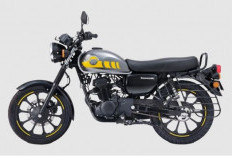 Spesifikasi Kawasaki W175 Street, Motor Retro dengan Gaya Klasik Modern