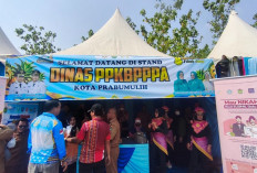 Bak Fenomena Gunung Es, DPPKBPPPA Prabumulih Sebut Kasus Bullying Diduga Banyak Tak Terungkap