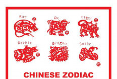 Ramalan Shio 28 Desember 2025, Macan Fokuslah Pada Kesenangan Anda