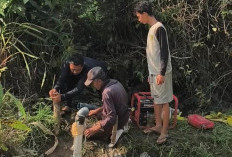 Sawah Mulai Retak, Petani OKU Timur Andalkan Sumur Bor dan Gas Melon untuk Selamatkan Padi
