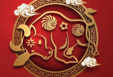 Ramalan Shio 14 Februari 2026, Monyet Percaya Dirilah Hari Ini