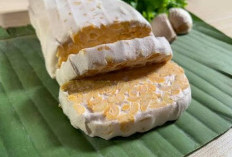 Ingin Menjaga Kesehatan Otak? Kenali 4 Makanan Fermentasi Ini