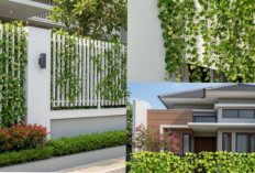 Tren Pagar Besi 2026: Kuat, Estetis, dan Penuh Nuansa Hijau