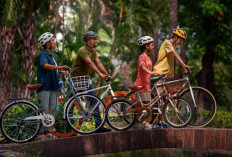 5 Rekomendasi Helm Sepeda untuk Berkendara Lebih Aman dan Nyaman