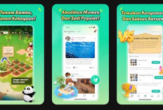 Panduan Lengkap Panjoy: Cara Main dan Cara Cairkan Saldo DANA