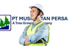 PT Kreasi Wanna Lestari Cari Driver Tronton, Penempatan di Operasional MHP