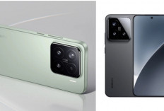 Xiaomi 15, Flagship Compact Terbaik 2025, Kecil Tapi Performa Monster