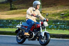 Kelebihan dan Kekurangan Honda ST125 Dax 2026, Motor Ikonik Sejak Dulu