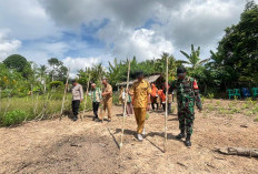Polres Prabumulih Dukung Ketahanan Pangan Lewat Penanaman Jagung di RKT