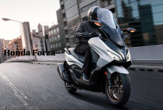 Jadi Salah Satu Motor Matic Paling Premium, Ini Kelebihan dan Kekurangan Honda Forza
