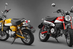 Honda Monkey vs Honda ST125 Dax dan Honda CT125, Lebih Pilih Bergaya Klasik atau Modern