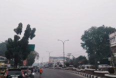 Tak Terdeteksi Titik Panas, Kabut Asap Kiriman Kepung Kota Nanas: Penanganan Karhutla Dioptimalkan 