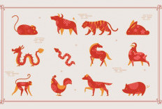 Ramalan Shio 6 Januari 2026, Kelinci Hari Ini Anda Sangat Ingin Membantu Orang Lain