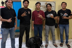 Pinjam Motor Tak Kunjung Dikembalikan, Pria 45 Tahun Diciduk Polisi