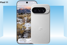 Google Pixel 11 Disebut Akan Bawa Chip Keamanan Baru Titan M3