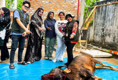Pemkot Prabumulih Turunkan Tim Khusus, Pastikan Hewan Kurban Aman Dikonsumsi
