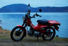 Spesifikasi Honda CT125 Hunter Cub, Perpaduan Gaya Klasik dan Teknologi Modern