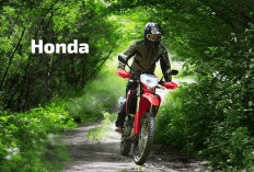 Honda CRF250L Bisa Dibawa Kemana Saja, Cek Spesifikasi Hingga Harga Terbarunya