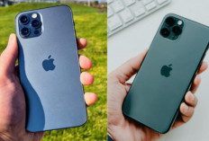 iPhone Lawas, Tetap Keren! 5 Model Bekas yang Layak Dibeli di 2026