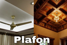 8 Jenis Plafon Rumah yang Bikin Interior Makin Estetik dan Nyaman