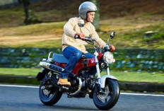 Honda ST125 Dax Motor Retro Unik, Bergaya Klasik yang Bikin Semua Mata Tertuju