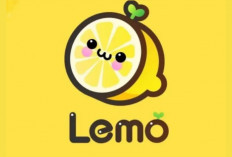 Tanam Sayur dari HP? Ini Cara Kumpulkan Poin DANA Lewat Aplikasi Lemo