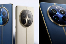 realme 12 Pro+ 5G Andalkan Kamera Periskop, Hasil Foto Jarak Jauh Tetap Tajam