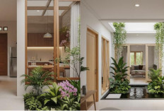 7 Inspirasi Rumah Mungil Tropis yang Terasa Luas dan Sejuk di Lahan Terbatas