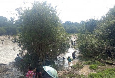 Tradisi Bekarang Masih Lestari, Ratusan Warga Jiwa Baru Turun ke Sungai Tangkap Ikan