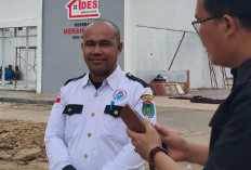 9 KWT dan Ekspansi Lahan Jagung, Desa Pangkul Majukan Pertanian Lokal