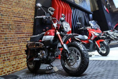 Motor Klasik Honda Monkey 2026, Begini Kelebihan dan Kekurangannya