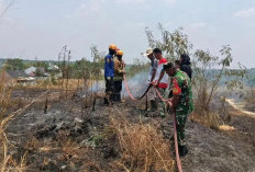 Armada Terbatas, BPBD Prabumulih Hadapi Tantangan Padamkan Karhutla