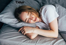 Sudah Jadi Kebiasaan Masyarakat Indonesia, Tidur Sehabis Makan Bisa Tingkatkan Risiko Stroke?