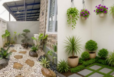 10 Ide Kreatif Menata Taman Kecil Minimalis di Rumah