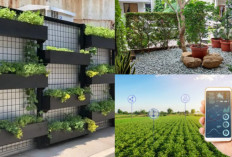 Transformasi Rumah Jadi Oase: Tren Taman Indoor 2026 yang Wajib Dicoba