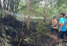 Hotspot Muncul di Prabumulih, BPBD Sumsel Temukan 58 Hotspot hingga 10 Juli 2026