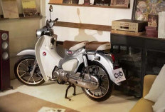 Kelebihan dan Kekurangan Honda Super Cub C125, Motor Klasik Premium yang Memiliki Karisma Tak Tertandingi