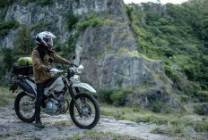 Kawasaki KLX230 Sherpa S ABS vs Honda CRF300L dan Yamaha TW200, Lebih Pilih Motor Adventure Mana