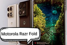 5 HP Motorola Terbaik 2026 yang Layak Dibeli, Ada Razr Fold hingga Moto G Stylus