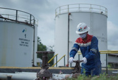 Pertamina EP Catat Prestasi, Produksi Minyak Adera Field Tertinggi Sejak 1983
